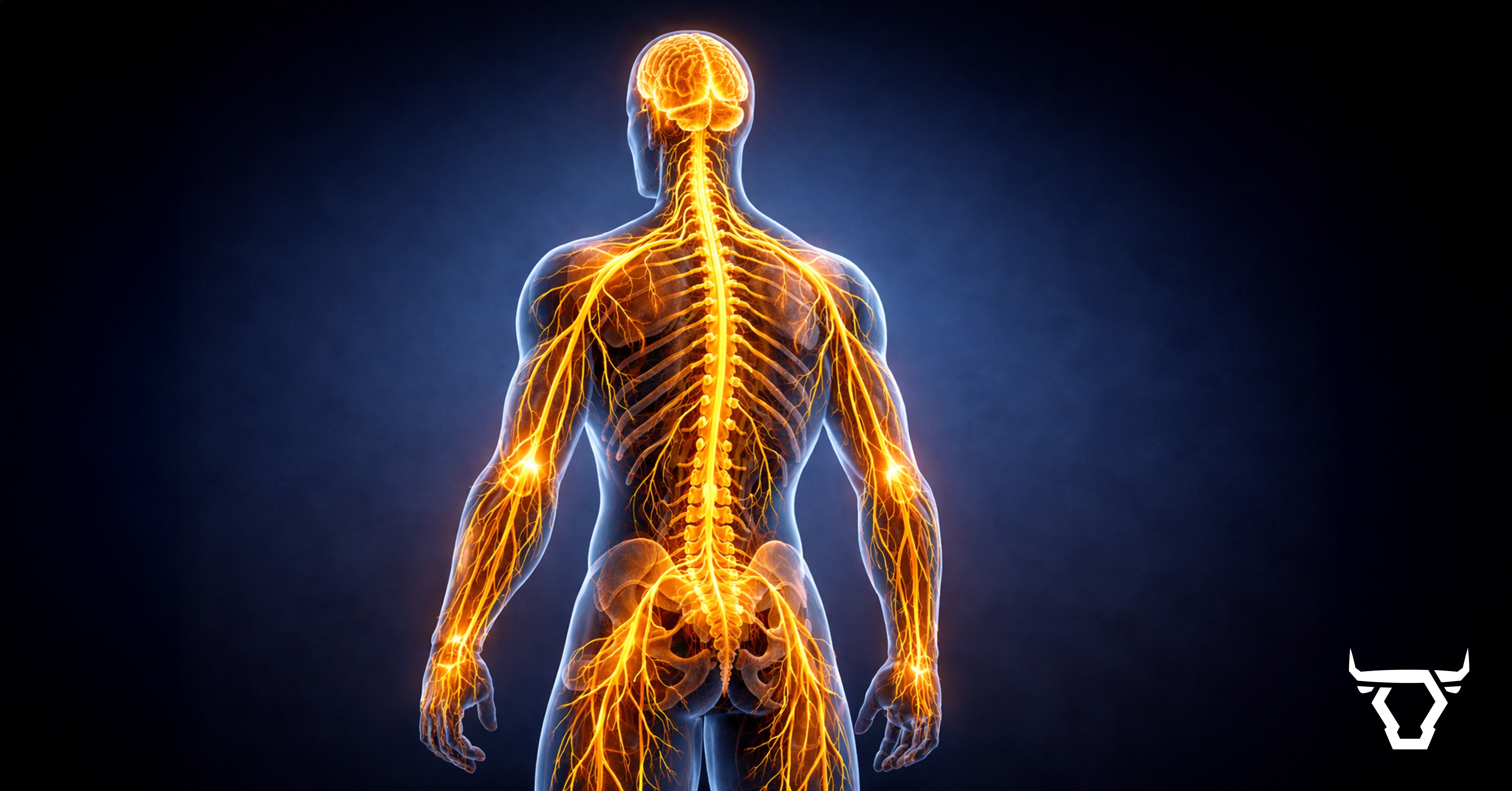 Your Nervous System Is the Missing Link