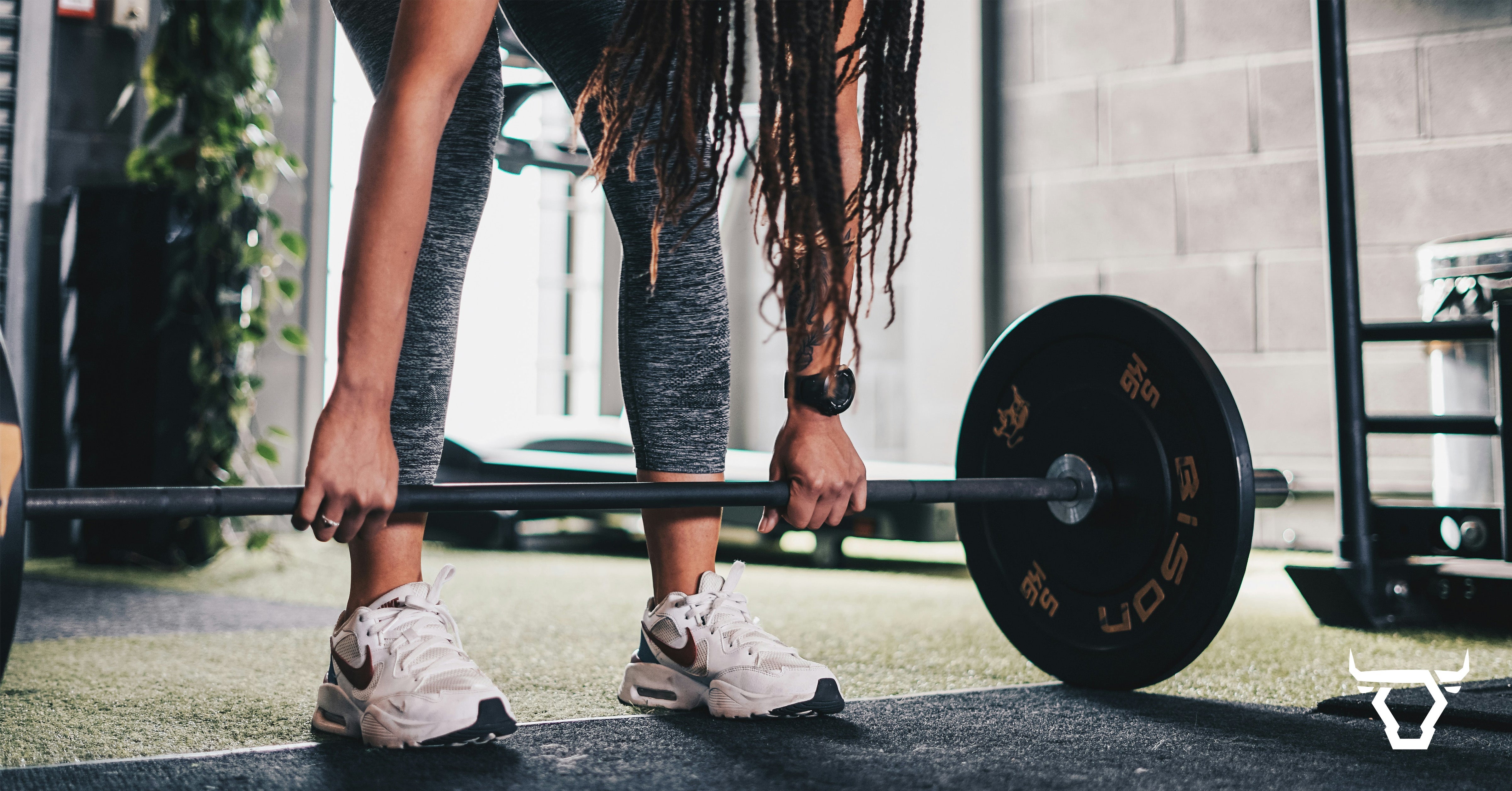 The Most Popular Exercises in the Gym