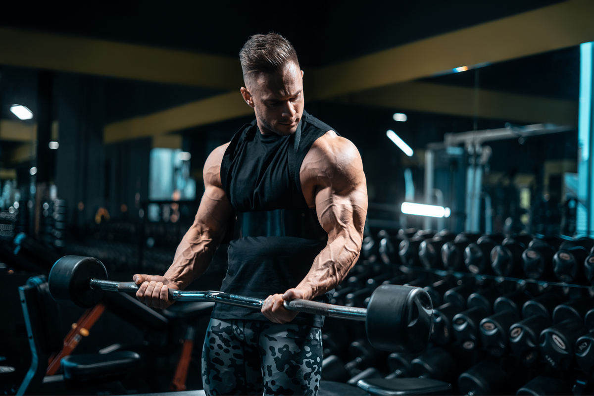 Ultimate Guide to Training Arms